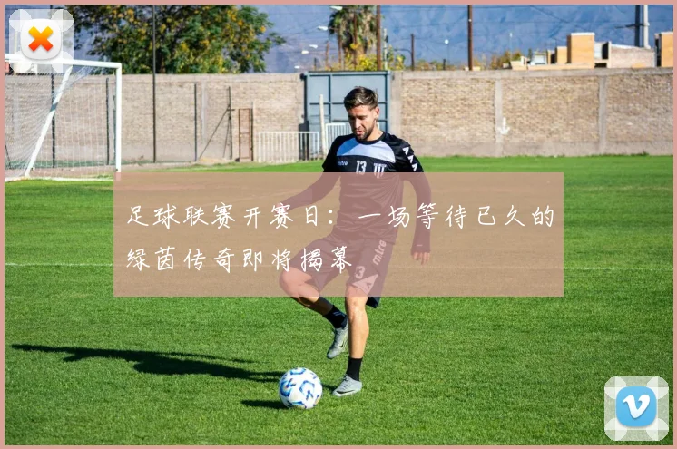 足球联赛开赛日：一场等待已久的绿茵传奇即将揭幕