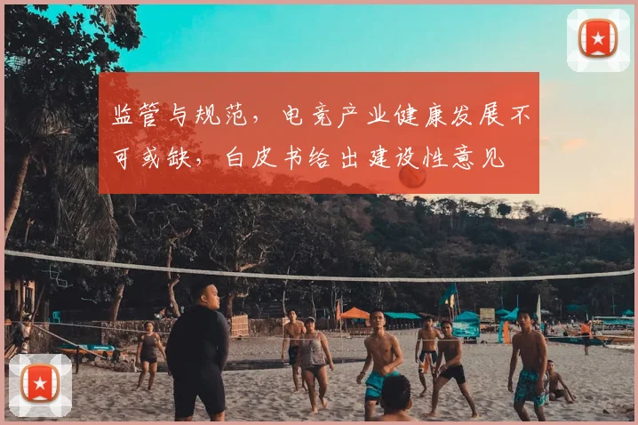 监管与规范，电竞产业健康发展不可或缺，白皮书给出建设性意见
