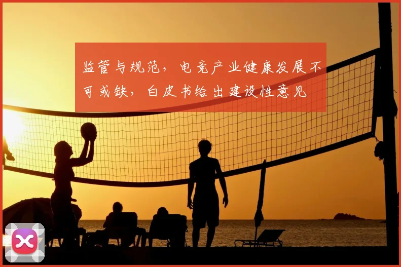 监管与规范，电竞产业健康发展不可或缺，白皮书给出建设性意见